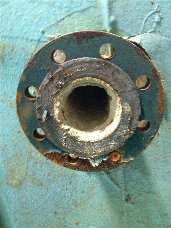 3840062496566635578.jpg