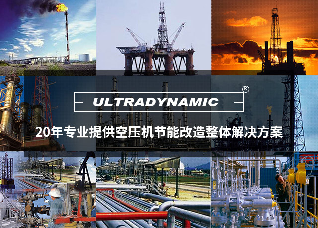 迪奈美空压机油